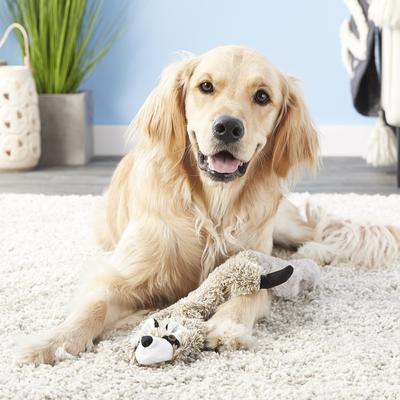 Show full view: Ethical Pet Skinneeez Forest Series Raccoon Stuffing-Free Squeaky Plush Dog Toy, 23-in slide 4 of 6