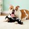 Show in main carousel: Ethical Pet Skinneeez Forest Series Skunk Stuffing-Free Squeaky Plush Dog Toy, 23-in slide 5 of 7
