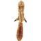 Show in main carousel: Ethical Pet Skinneeez Forest Series Squirrel Stuffing-Free Squeaky Plush Dog Toy, 23-in slide 1 of 6