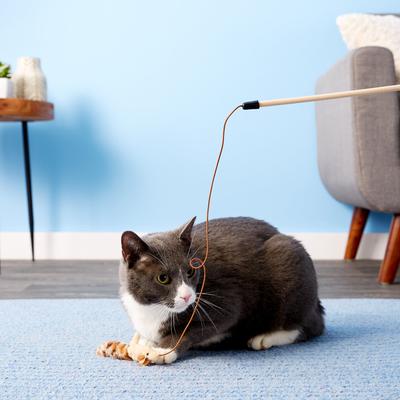 Show full view: Ethical Pet Skinneeez Friend Teaser Wand Cat Toy with Catnip, Character Varies slide 5 of 7