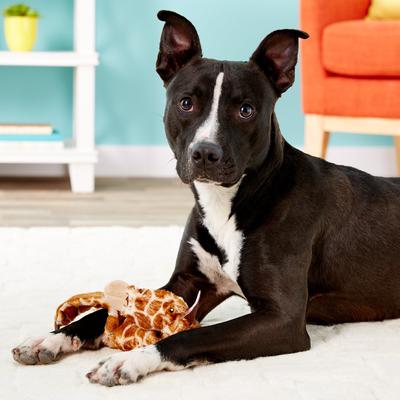 Show full view: Ethical Pet Skinneeez Giraffe Stuffing-Free Squeaky Plush Dog Toy, 20-in slide 3 of 5