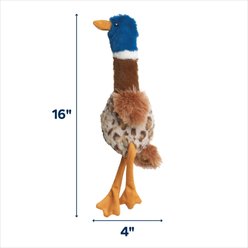 Ethical Pet Skinneeez Plus Duck Stuffing-Free Squeaky Plush Dog Toy slide 2 of 2