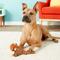 Show in main carousel: Ethical Pet Skinneeez Plus Squirrel Stuffing-Free Squeaky Plush Dog Toy slide 4 of 6
