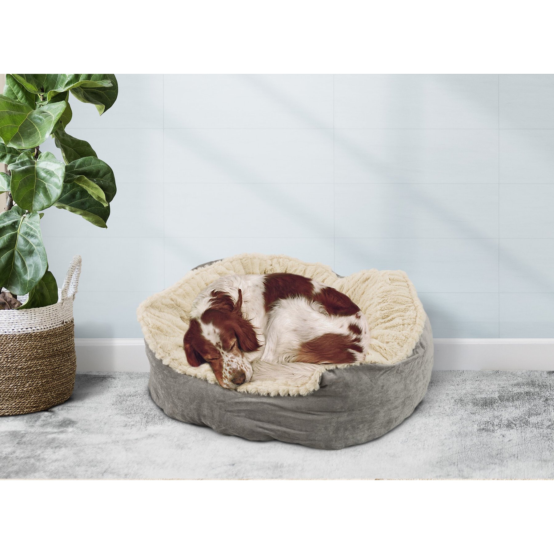 Ethical Pet Sleep Zone Carved Plush Bolster Cat & Dog Bed, Gray, 21-in