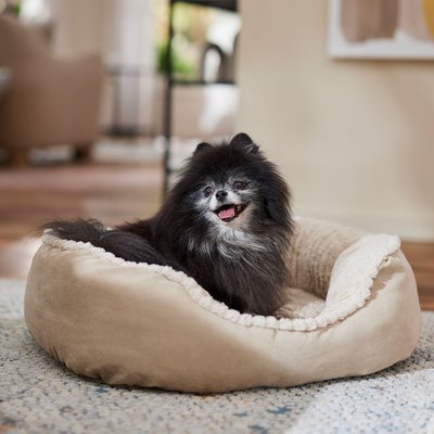 Ethical Pet Ethical Pet Sleep Zone Carved Plush Bolster Cat & Dog Bed, Tan, 26-in