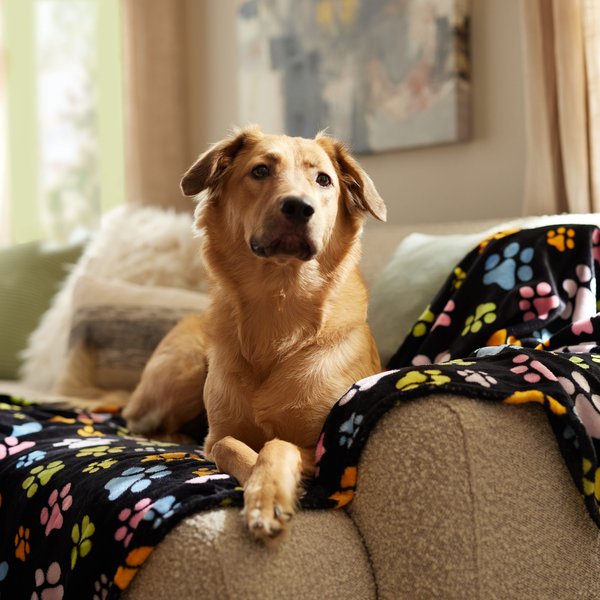 Ethical Pet Snuggler Patterned Dog Blanket