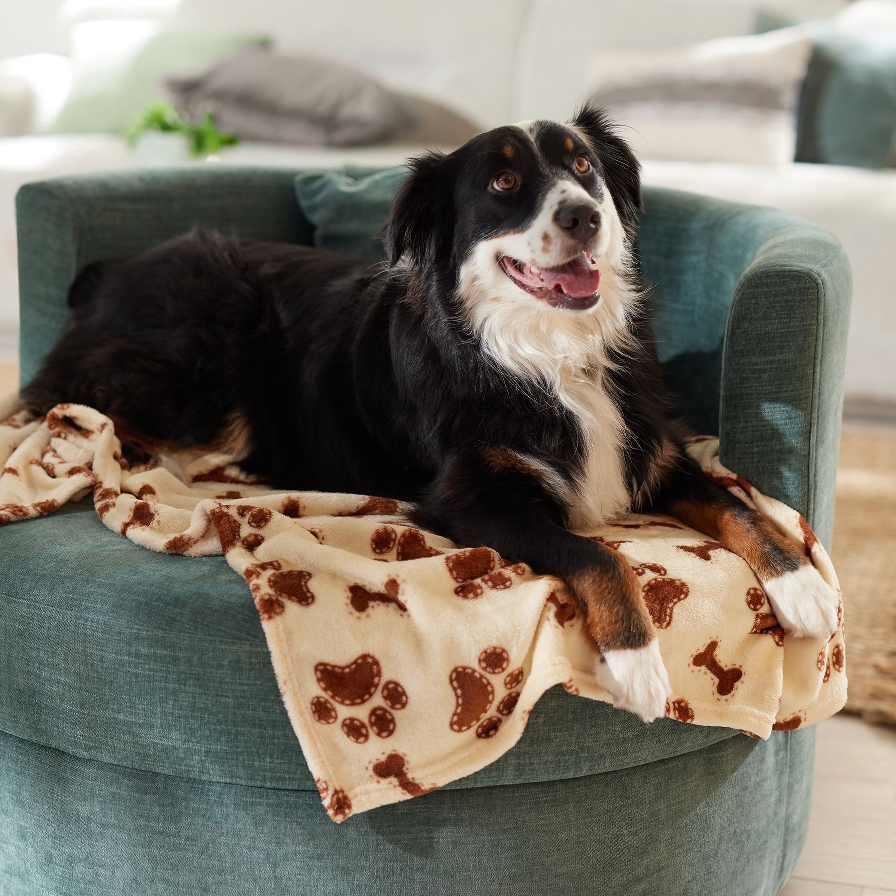 Ethical Pet Snuggler Patterned Dog Blanket, Cream, 60-in