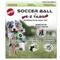 Show in main carousel: Ethical Pet Soccer Ball with EZ Tabs Outdoor Ball Dog Toy, 9-in slide 1 of 4