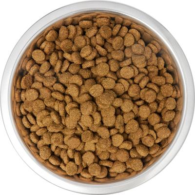 Show full view: Ethical Pet Stainless Steel Mirror Finish Dog Bowl, 1-qt slide 5 of 6