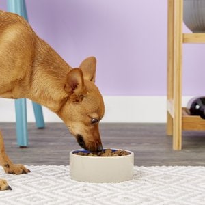 Ethical Pet Stoneware Crock Ceramic Dog & Cat Dish, 1.5-cup