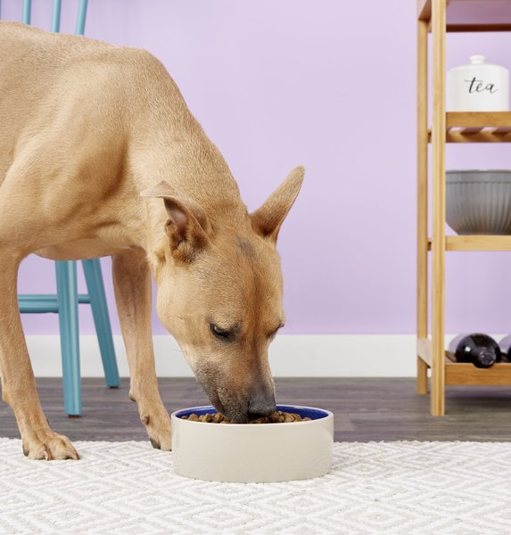 Show full view: Ethical Pet Stoneware Crock Ceramic Dog & Cat Dish, 6-cup slide 2 of 4