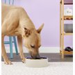 Show in main carousel: Ethical Pet Stoneware Crock Ceramic Dog & Cat Dish, 6-cup slide 2 of 4