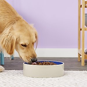 Ethical Pet Stoneware Crock Ceramic Dog & Cat Dish, 9-cup