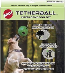Ethical Pet Tether Ball with Rope Outdoor Ball Dog Toy, Green, 8-in