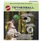 Show in main carousel: Ethical Pet Tether Ball with Rope Outdoor Ball Dog Toy, Green, 8-in slide 1 of 3