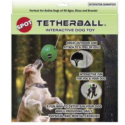 Show full view: Ethical Pet Tether Ball with Rope Outdoor Ball Dog Toy, Green, 8-in slide 1 of 3
