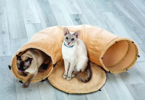 Show full view: Etna 4-Way Play Tunnel Cat Toy, Beige slide 7 of 8