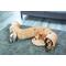 Show in main carousel: Etna 4-Way Play Tunnel Cat Toy, Beige slide 4 of 8