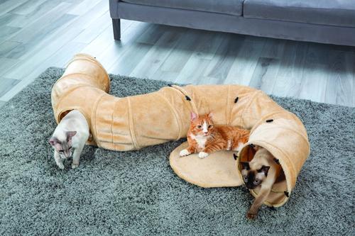 Show full view: Etna 4-Way Play Tunnel Cat Toy, Beige slide 4 of 8