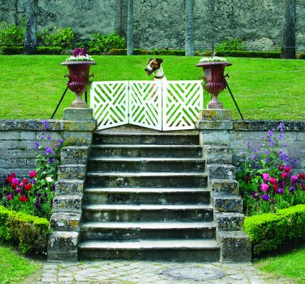 Show full view: Etna Adjustable 3 Section Wooden Dog Gate slide 7 of 8