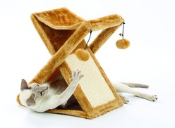 Etna Foldaway Play Tower & Scratching Post with Hanging Balls Cat Toy