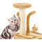 Show in main carousel: Etna Kitty Complete Play Gym Cat Toy slide 3 of 4