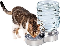 Etna Stainless Steel Gravity Refill Dog & Cat Waterer, 3-L slide 2 of 3