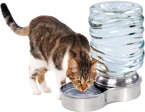 Show full view: Etna Stainless Steel Gravity Refill Dog & Cat Waterer, 3-L slide 3 of 6