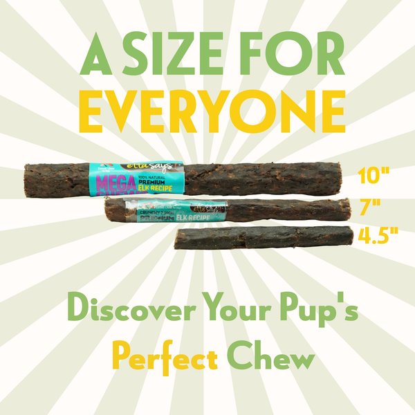 Etta Says! 10-inch MEGA Select Hide-Free Liver Recipe Crunchy Dog Chew