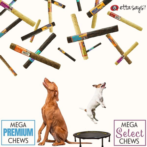 Etta Says! 10-inch MEGA Select Hide-Free Sausage Recipe Crunchy Dog Chew