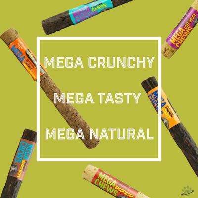 Show full view: Etta Says! 10" MEGA Premium Crunchy Buffalo Dog Chew Treats slide 3 of 10
