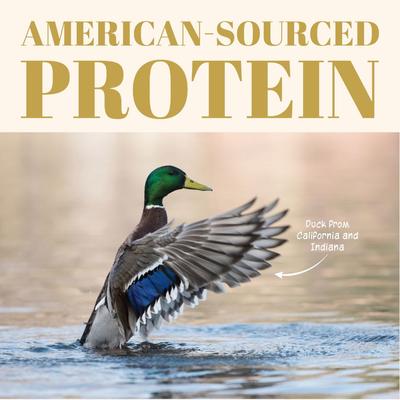 Show full view: Etta Says! 7" Crunchy Duck Dog Chew Treats slide 3 of 12