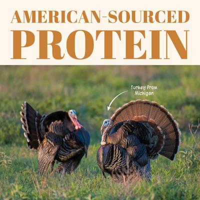 Show full view: Etta Says! 7" Crunchy Turkey Dog Chew Treats, 1 count slide 3 of 12