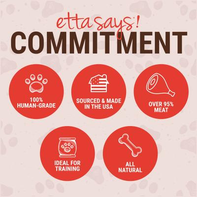 Show full view: Etta Says! Beef Yumm Sticks Human Grade Beef Jerky Dog Treats, 1 count slide 5 of 12