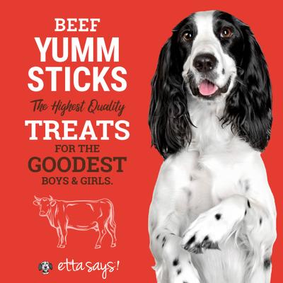 Show full view: Etta Says! Beef Yumm Sticks Human Grade Beef Jerky Dog Treats, 1 count slide 3 of 12