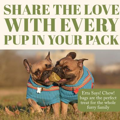 Show full view: Etta Says! Chew! Premium Crunchy Buffalo Recipe Grain-Free Dog Treats, 4.5-oz bag slide 9 of 10