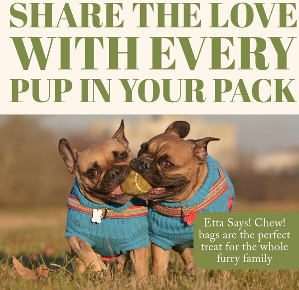Etta Says! Chew! Premium Crunchy Elk Recipe Grain-Free Dog Treats, 4.5-oz bag