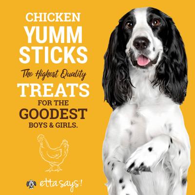 Show full view: Etta Says! Chicken Yumm Sticks Human Grade Chicken Jerky Dog Treats, 1 count slide 3 of 12