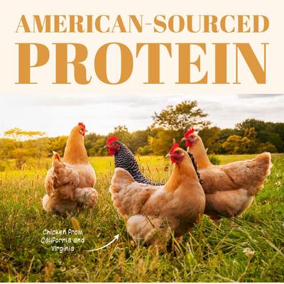 Show full view: Etta Says! Chicken Yumm Sticks Human Grade Chicken Jerky Dog Treats, 24 count slide 4 of 13