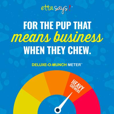 Show full view: Etta Says! Deluxe Hide-Free Long-Lasting 7" Chicken Recipe Dog Chew slide 7 of 12