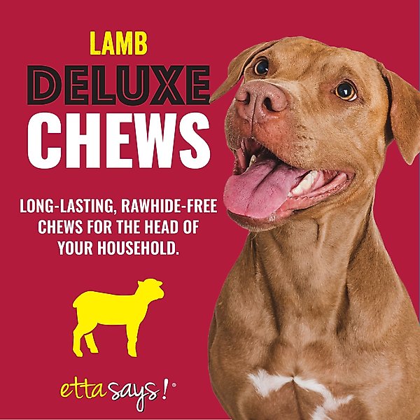 Show full view: Etta Says! Deluxe Hide-Free Long-Lasting 7" Lamb Recipe Dog Chew slide 3 of 12