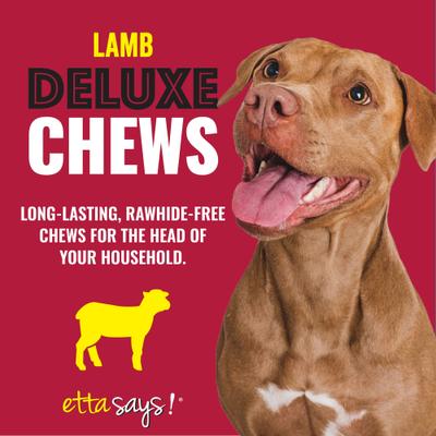 Show full view: Etta Says! Deluxe Hide-Free Long-Lasting 7" Lamb Recipe Dog Chew slide 3 of 12