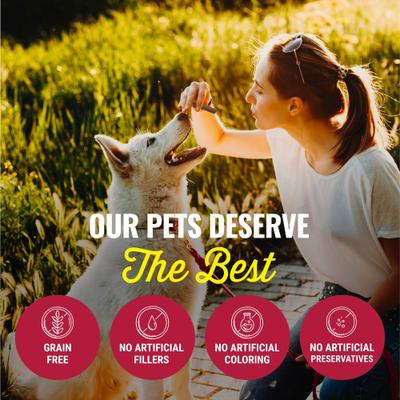 Show full view: Etta Says! Deluxe Hide-Free Long-Lasting 7" Lamb Recipe Dog Chew slide 6 of 12