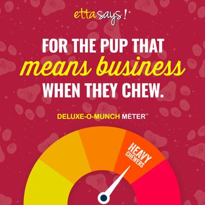 Show full view: Etta Says! Deluxe Hide-Free Long-Lasting 7" Lamb Recipe Dog Chew slide 7 of 12