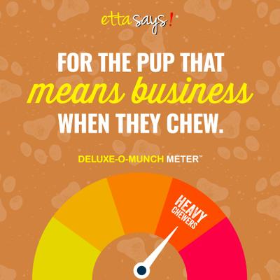 Show full view: Etta Says! Deluxe Hide-Free Long-Lasting 7" Turkey Recipe Dog Chew slide 7 of 11