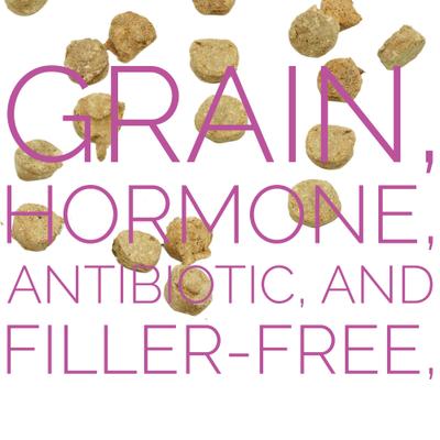 Show full view: Etta Says! Eat Simple! Duck Freeze-Dried Dog Treats, 2.5-oz bag slide 5 of 11