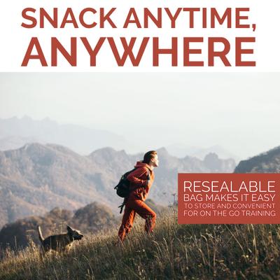 Show full view: Etta Says! Eat Simple! Lamb Freeze-Dried Dog Treats, 2.5-oz bag slide 6 of 12