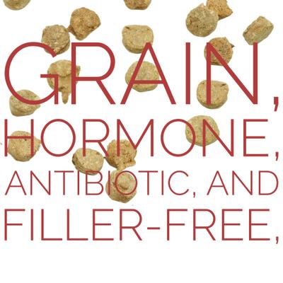 Show full view: Etta Says! Eat Simple! Lamb Freeze-Dried Dog Treats, 2.5-oz bag slide 5 of 12