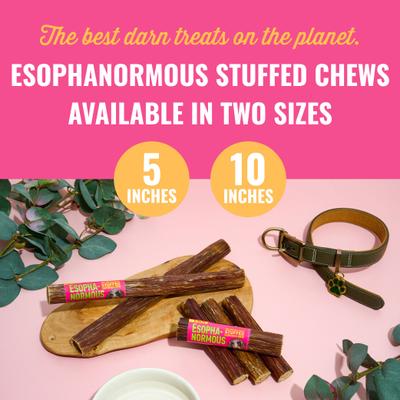 Show full view: Etta Says! Esophanormous 10-inch Beef & Sweet Potato Bully Stick Dog Chew Treats, 1 count slide 9 of 10