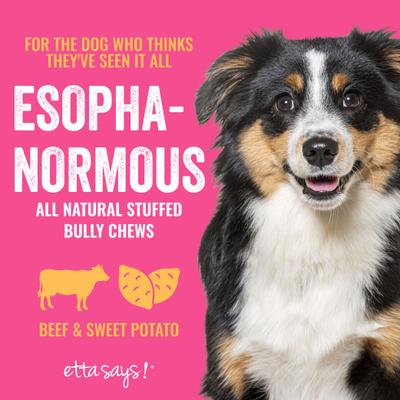 Show full view: Etta Says! Esophanormous 10-inch Beef & Sweet Potato Bully Stick Dog Chew Treats, 1 count slide 4 of 10